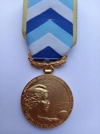 Médaille d’honneur de l’engagement ultramarin : cinq personnes de Saint-Martin distinguées